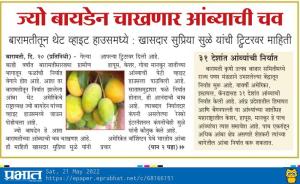 बारामतीत आंब्याची चव ज्यो बायडेन चाखणार 