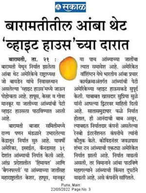 बारामतीतील आंबा थेट व्हाईट हाउसच्या दारात 