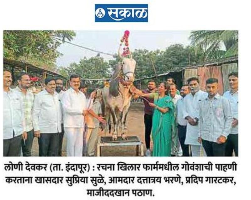 खासदार सुप्रिया सुळे यांनी केली खिलार गोवंशाची पाहणी 