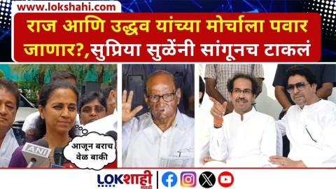 Raj Thackeray आणि Uddhav Thackeray यांच्या मोर्चाला पवार जाणार?