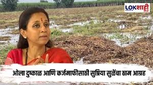 'सरसकट कर्जमाफी, ओला दुष्काळ जाहीर...' सुप्रिया सुळेंनी ठणकावून सांगितलं