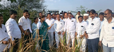 दुष्काळग्रस्त भागाची खासदार सुप्रिया सुळे यांच्याकडून पाहणी; शेतकऱ्यांशी साधला संवाद